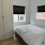Duinroos Vlakbij Egmond aan Zee