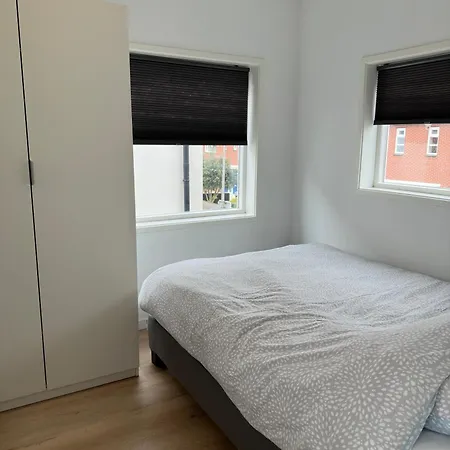 Duinroos Vlakbij Egmond aan Zee